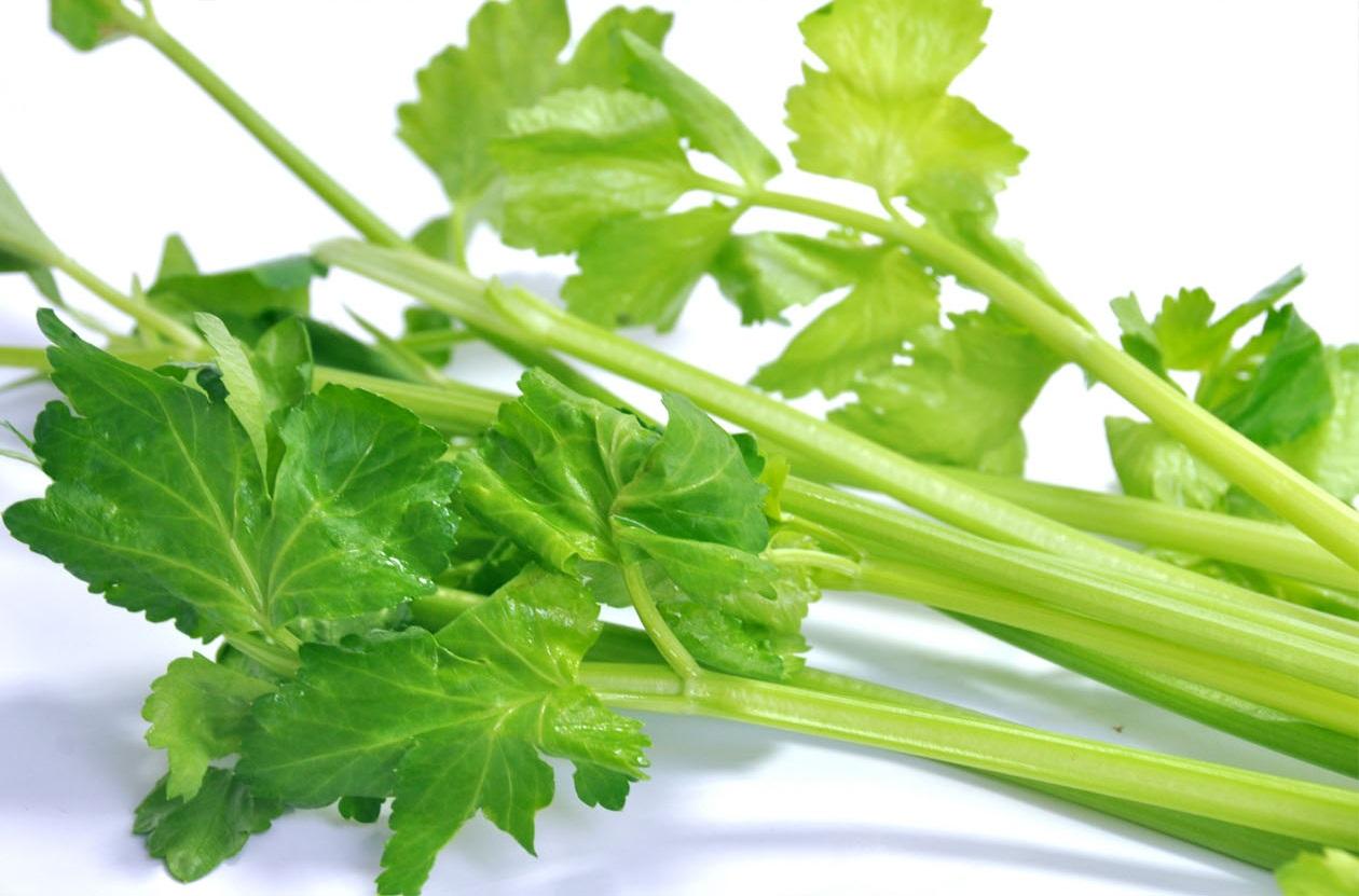 蔬菜是个宝，这些部位也更好！