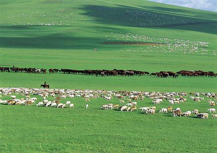 草原气象环境监测系统 草原气象环境监测系统