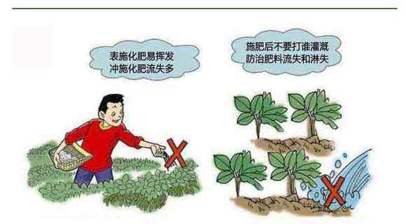 测土配方施肥仪价格 测土配方施肥仪价格