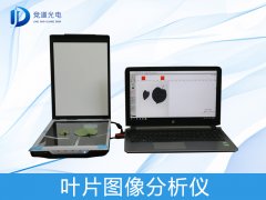 叶片图像是如何分析的？