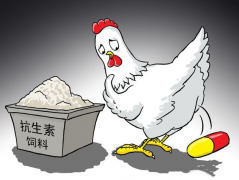 食品抗生素层出不穷，如何检测？